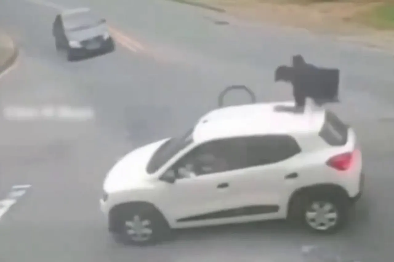 Viral Video