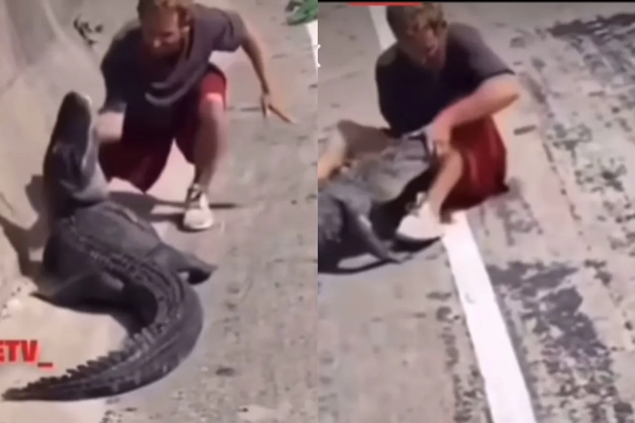 Viral Video