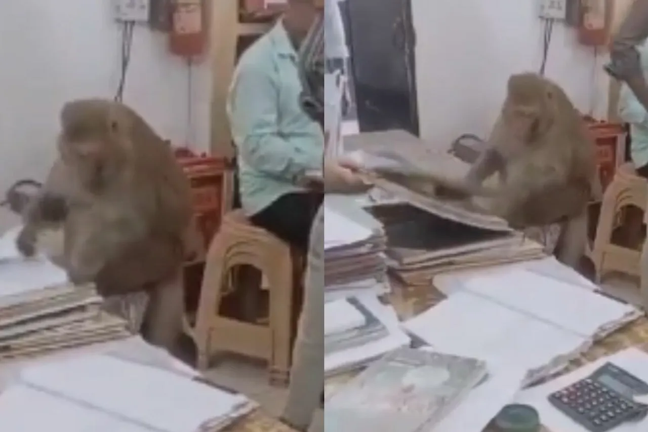 Viral Video