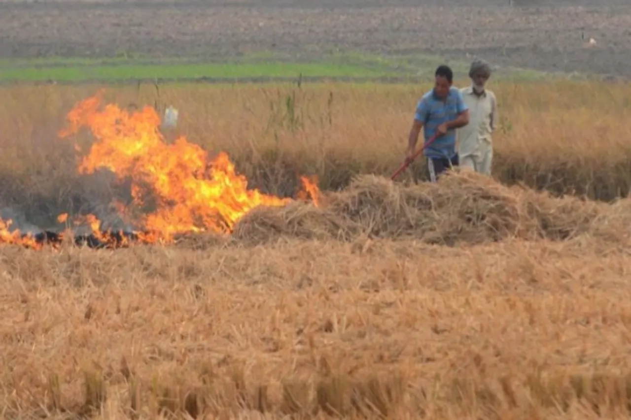 Haryana