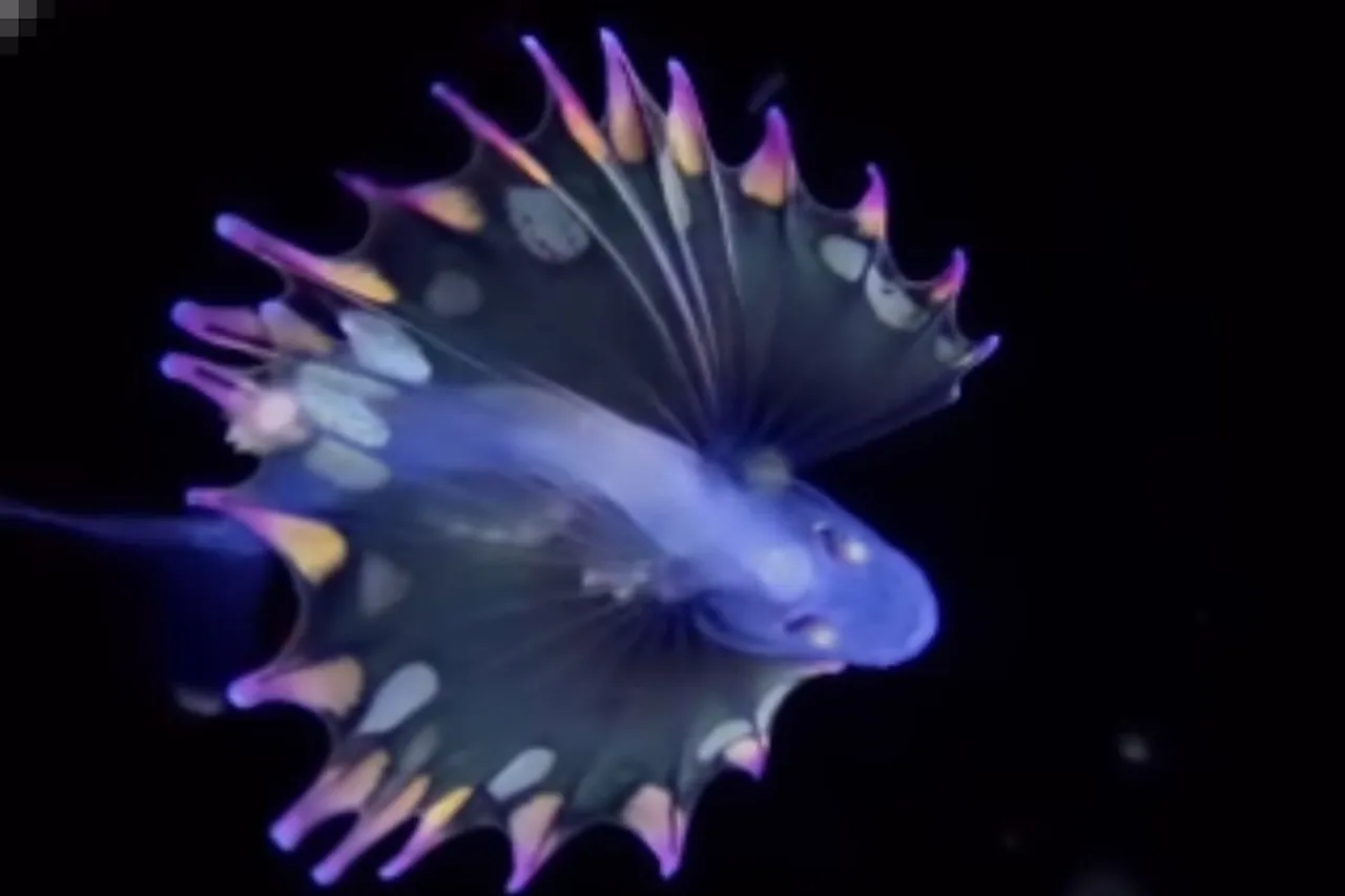 Animal Viral Video