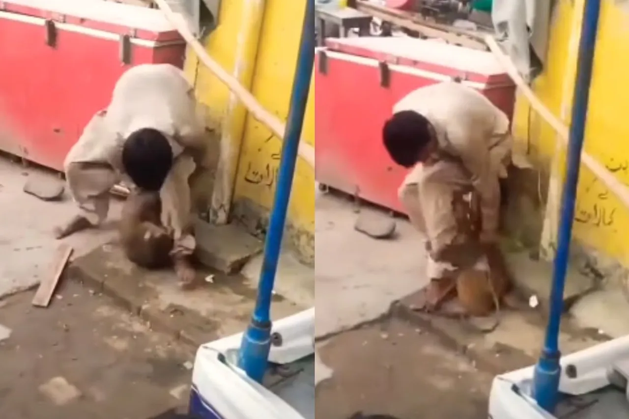 Animal Viral Video
