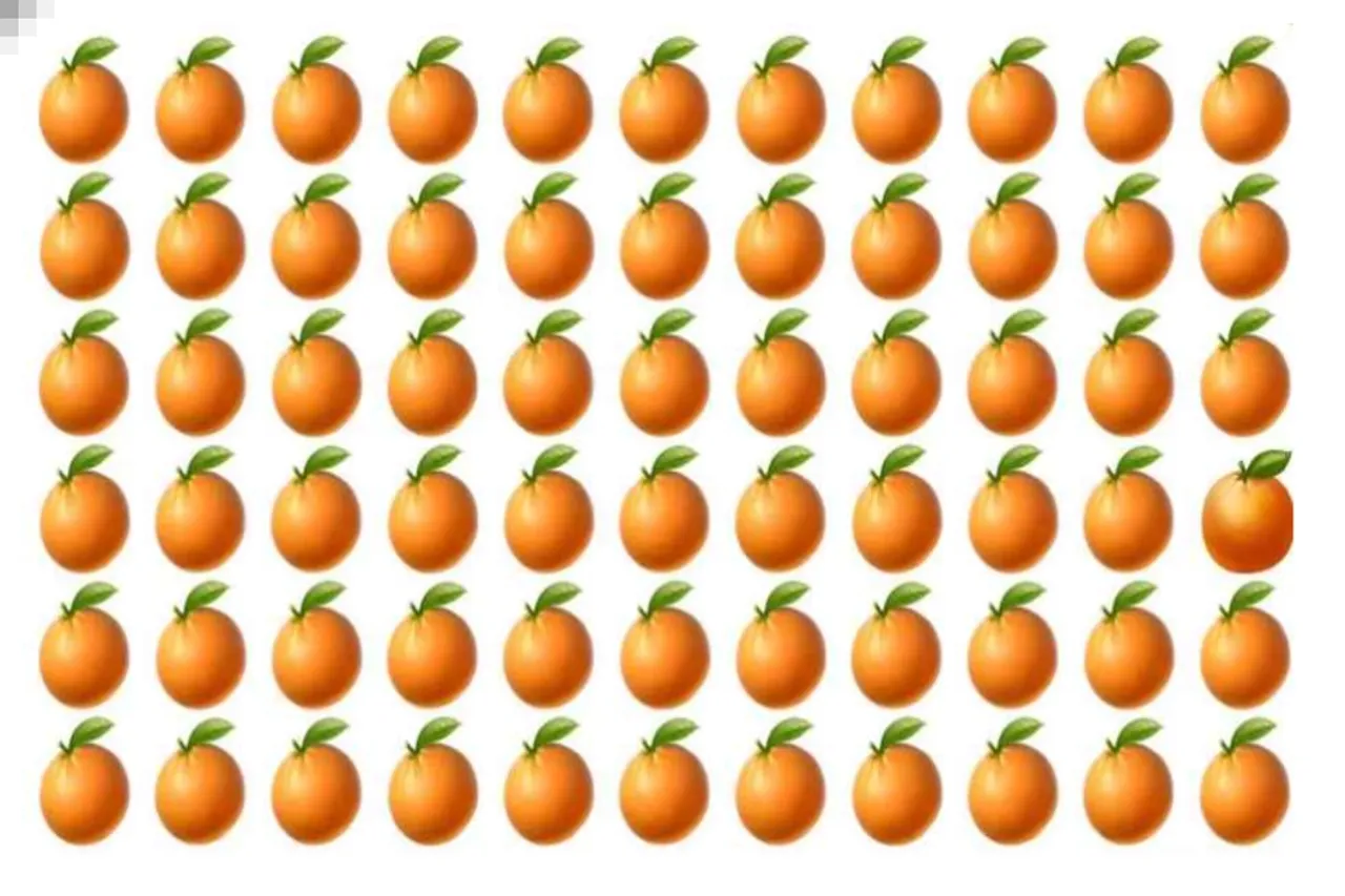 Optical Illusion