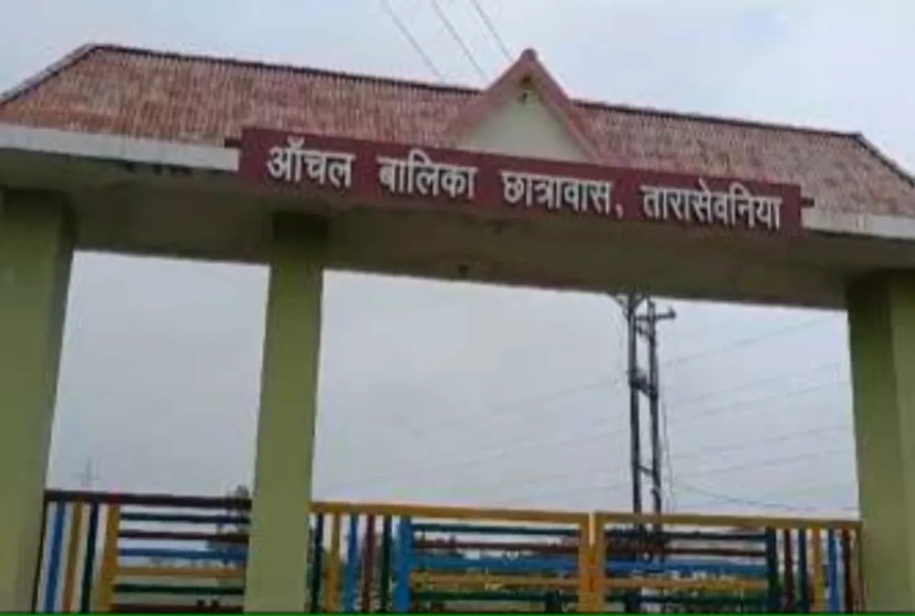 MP News