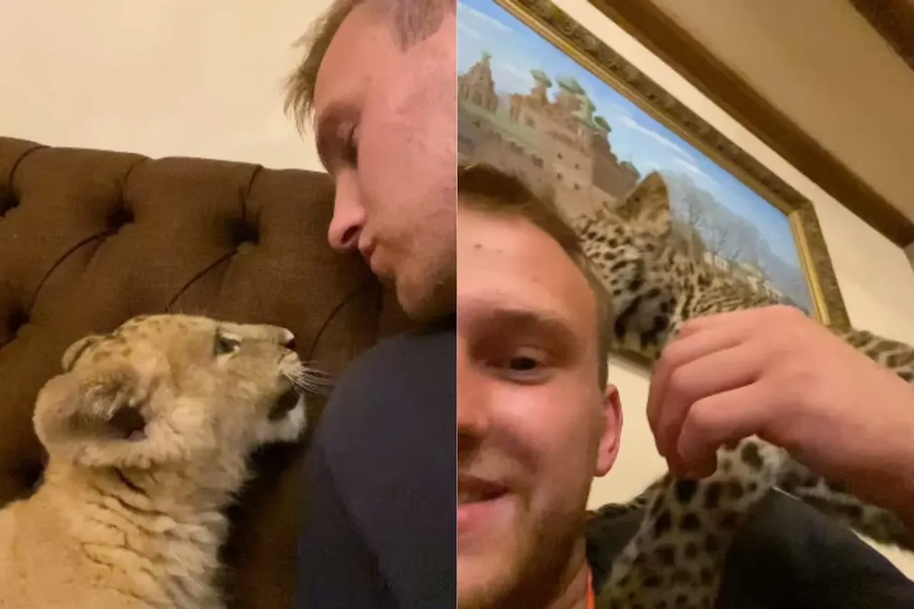 Animal Viral Video