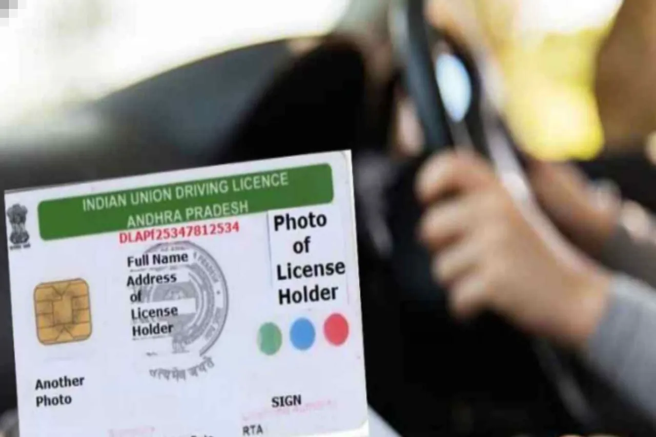 Driving Licence