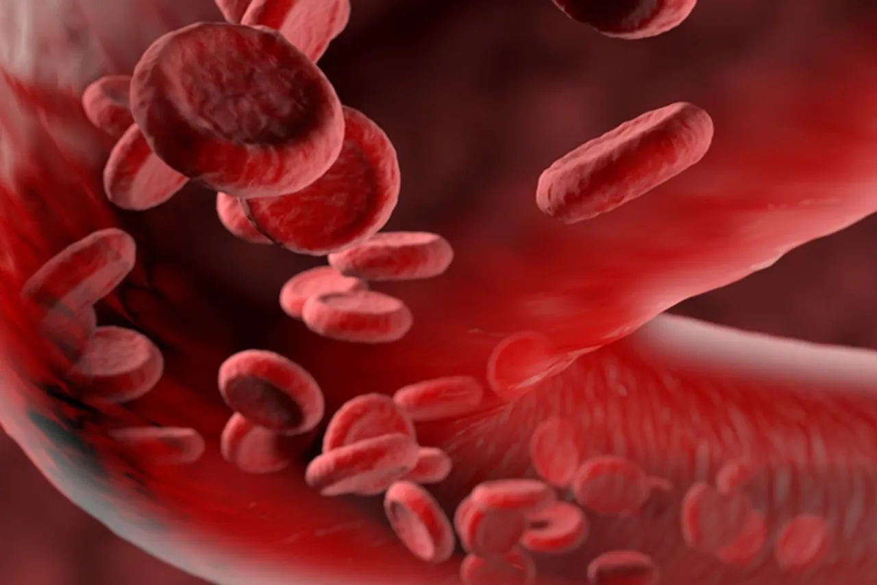 Health Tips: 7 Natural Blood Thinners to Prevent Stroke; Check Out