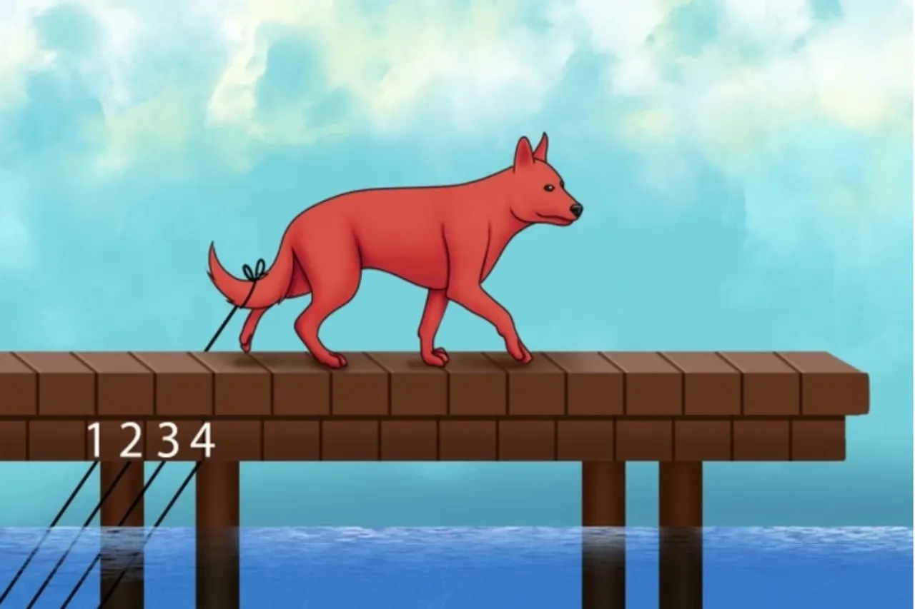 Optical Illusion
