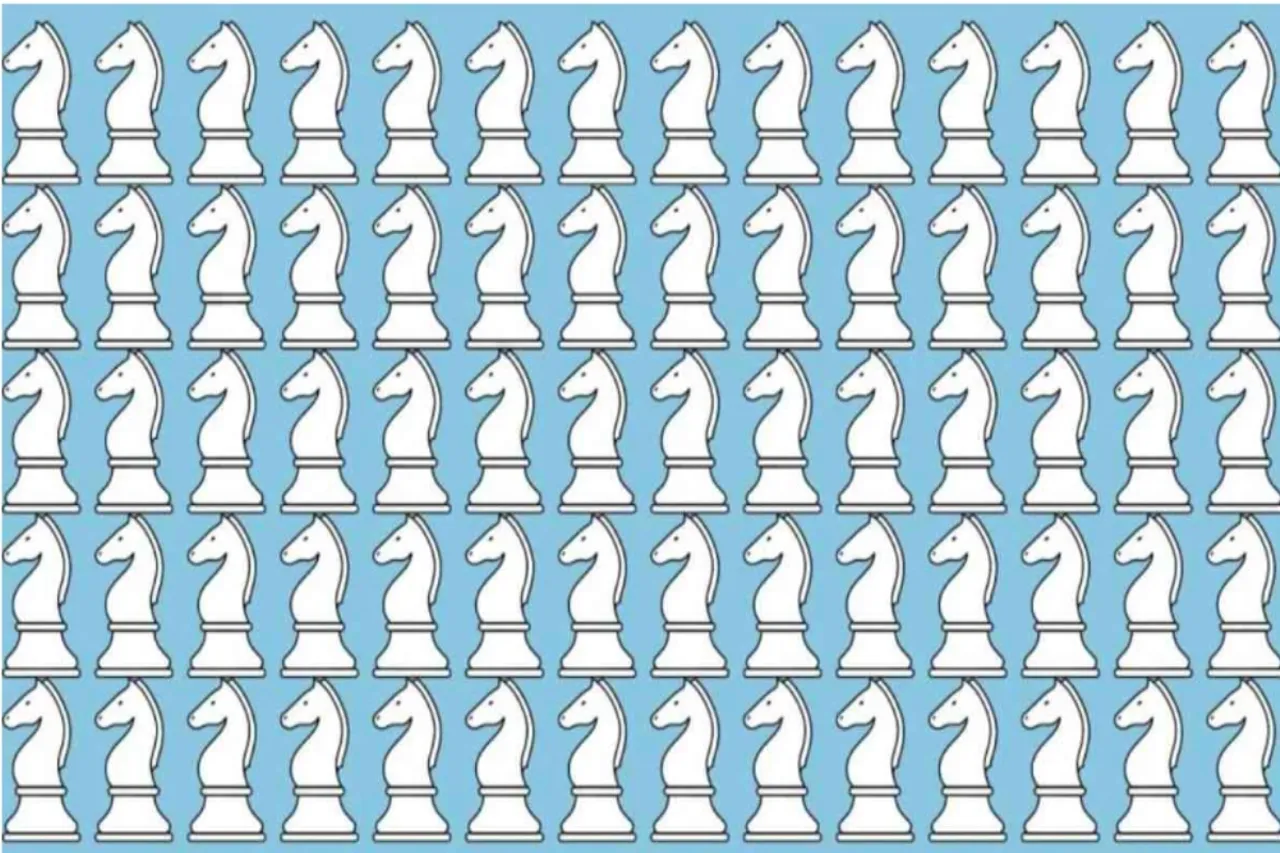 Optical Illusions