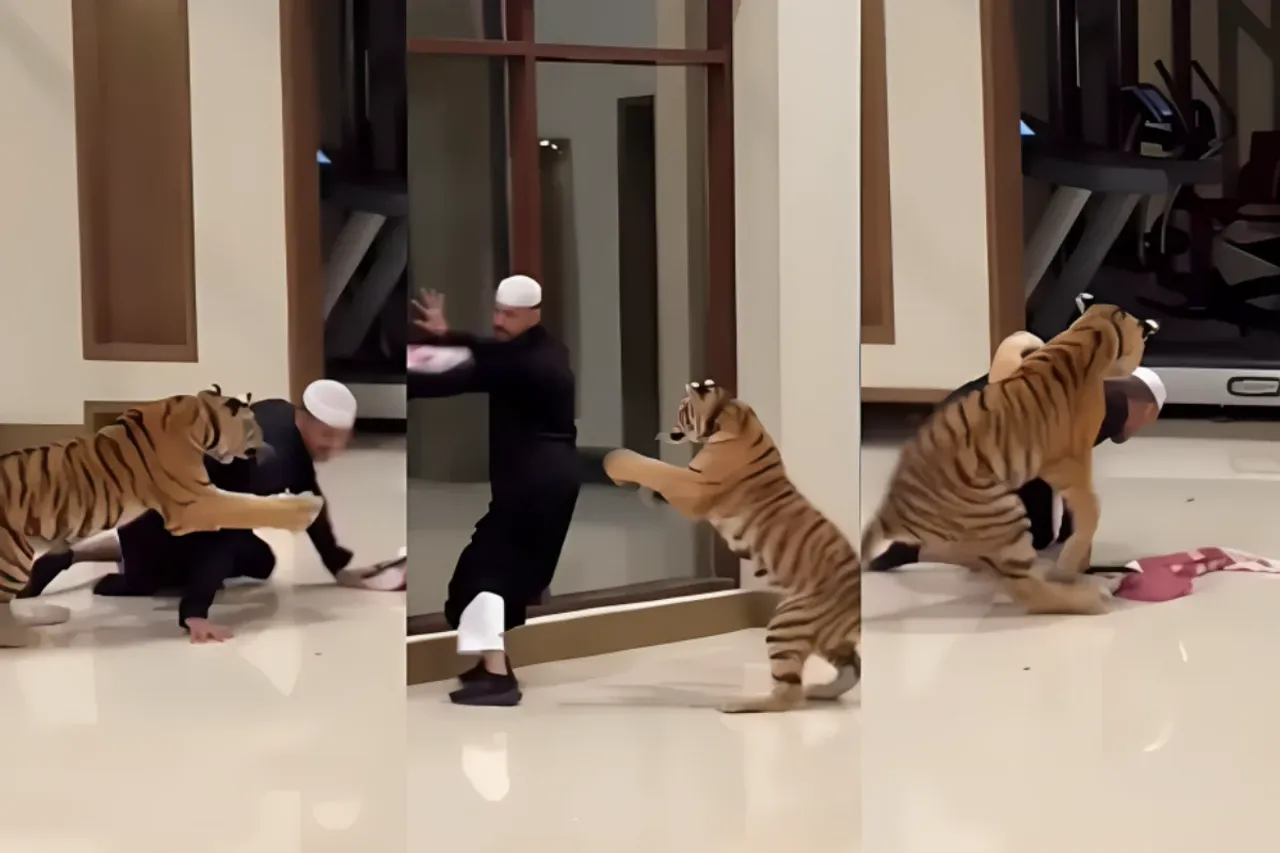 Viral Animal Video