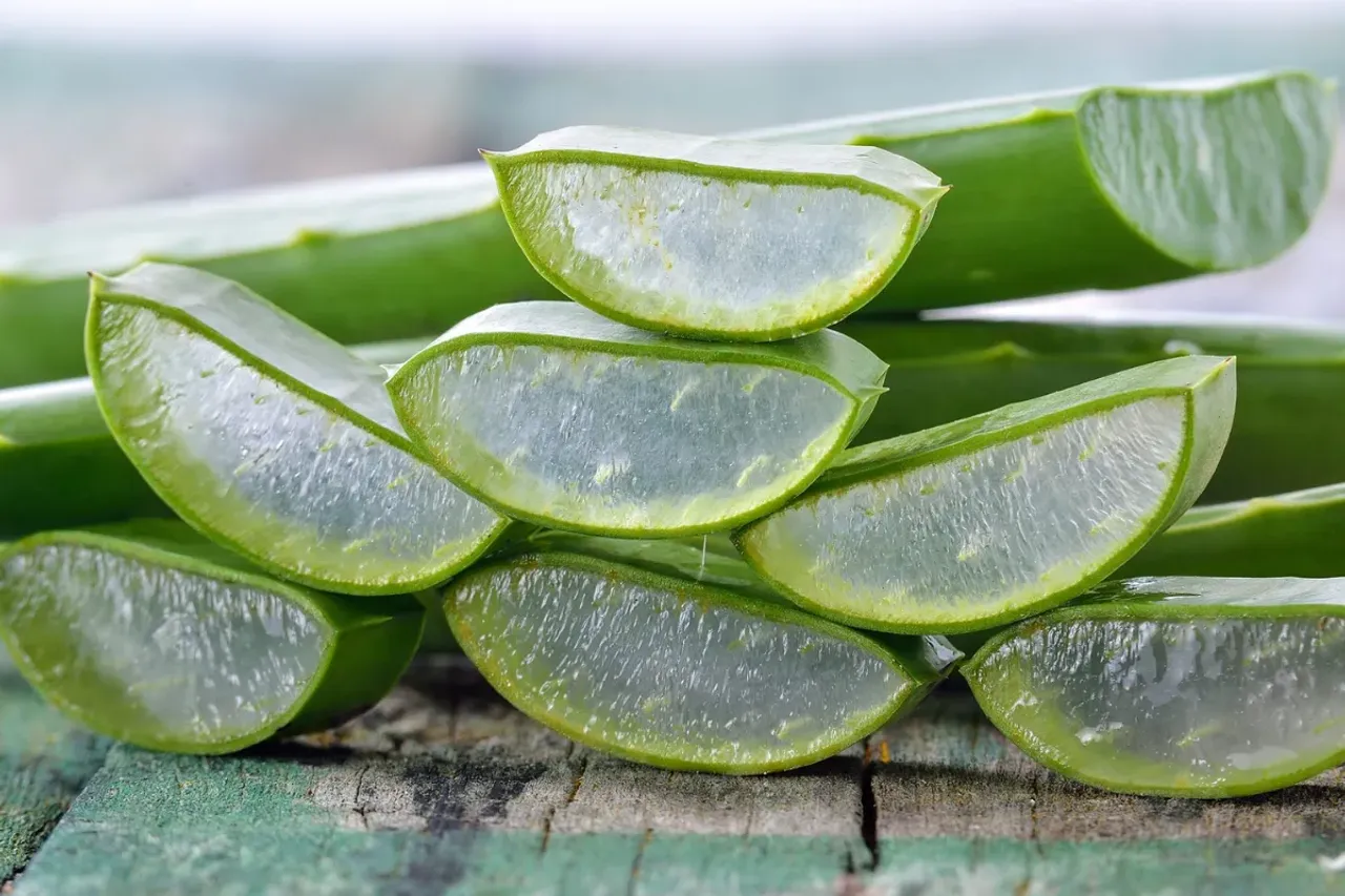 Aloe Vera Benefits