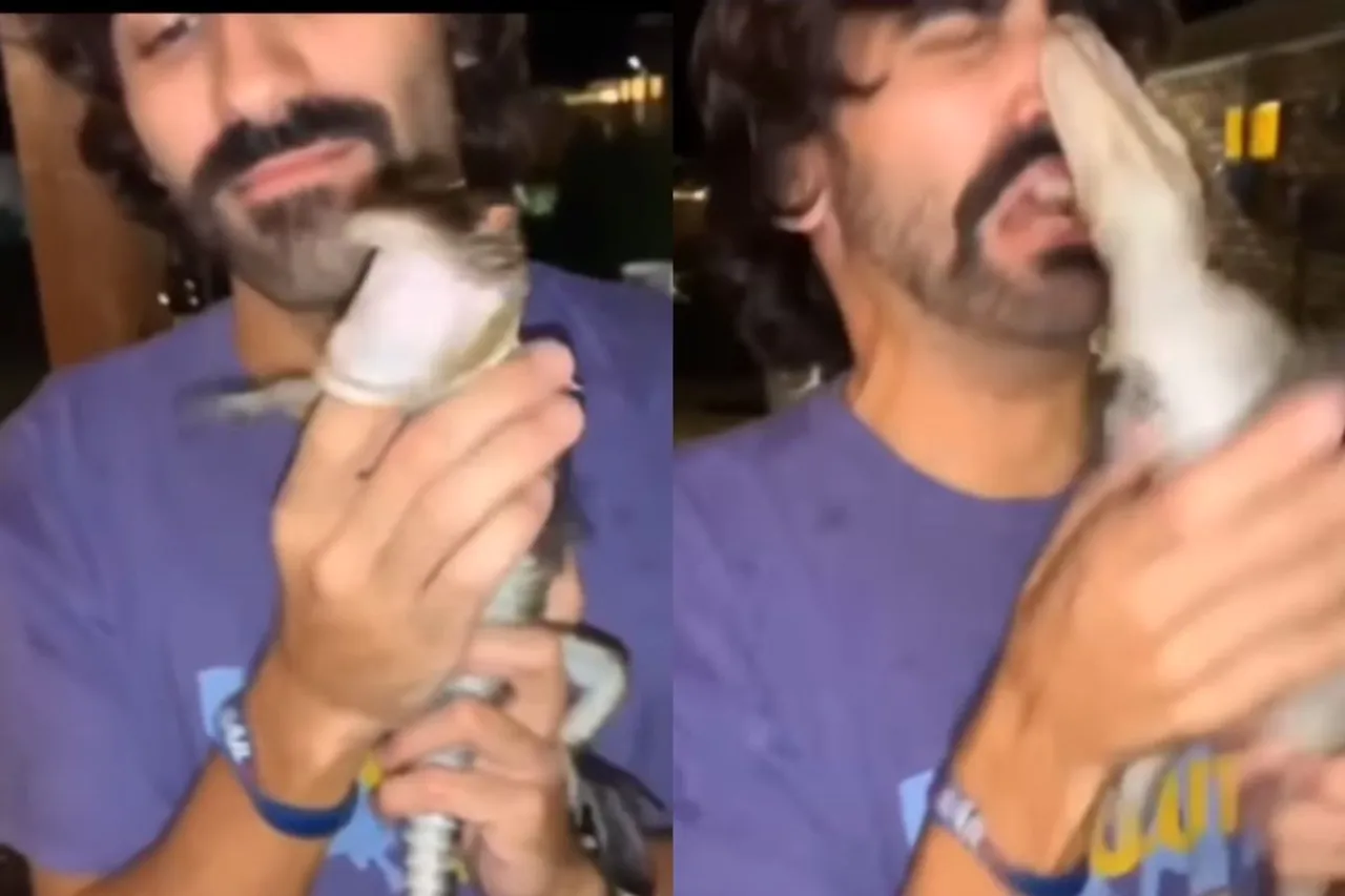 Animal Viral Video