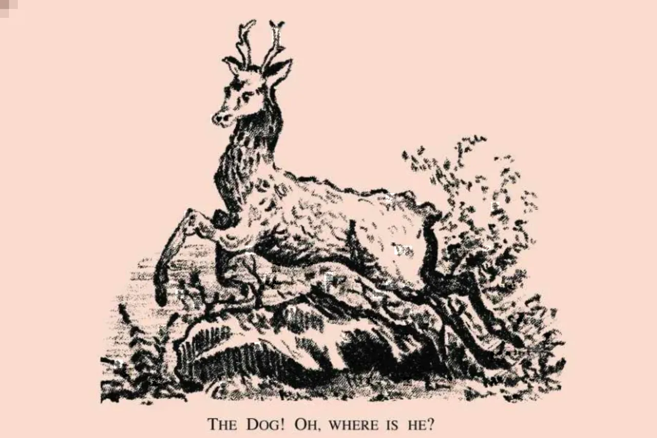 Optical Illusion