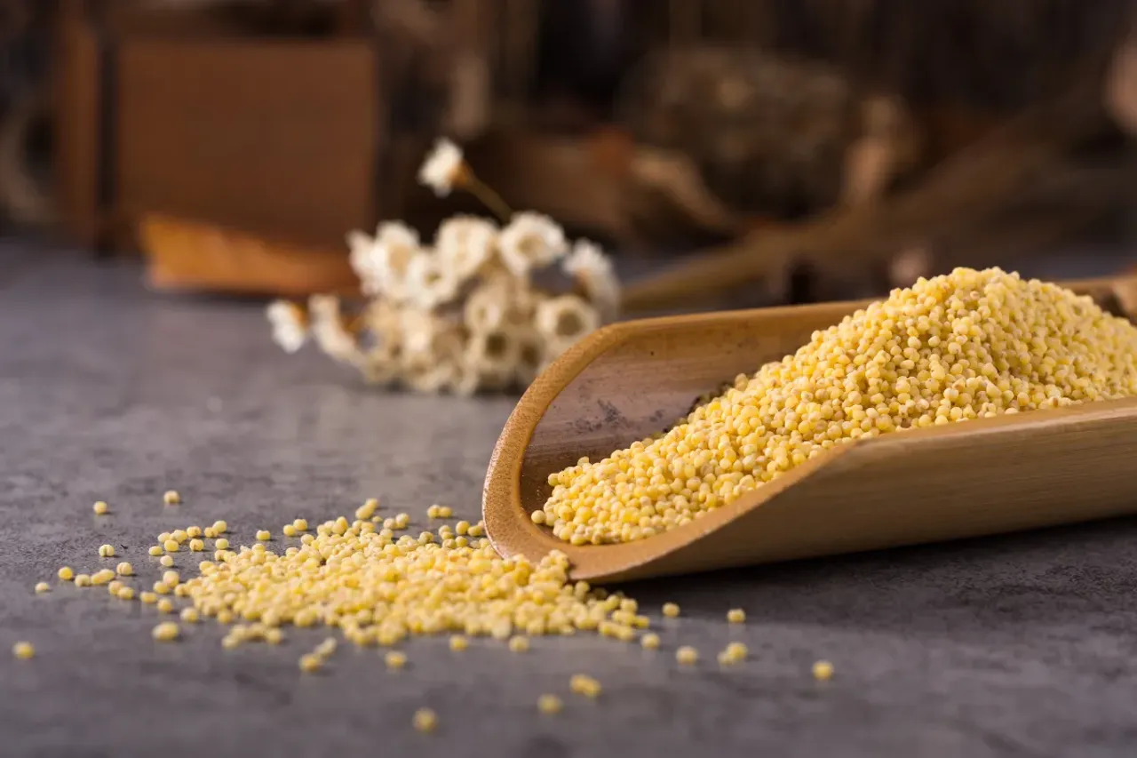 Foxtail Millet