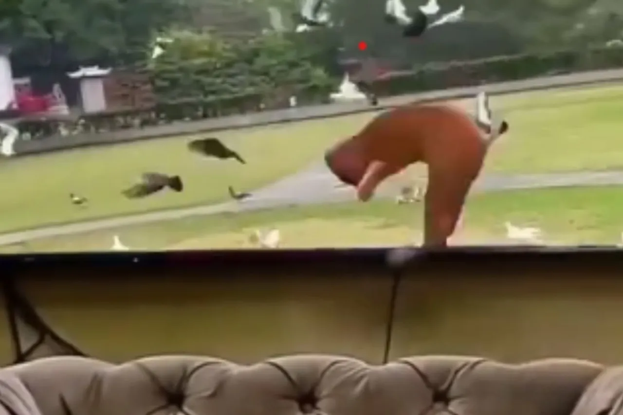 Animal Viral Video
