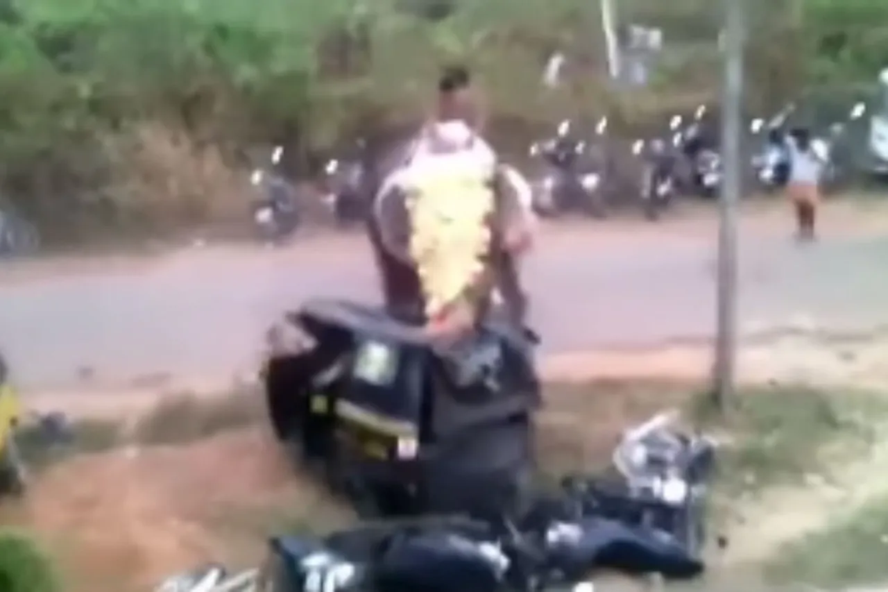 Animal Viral Video