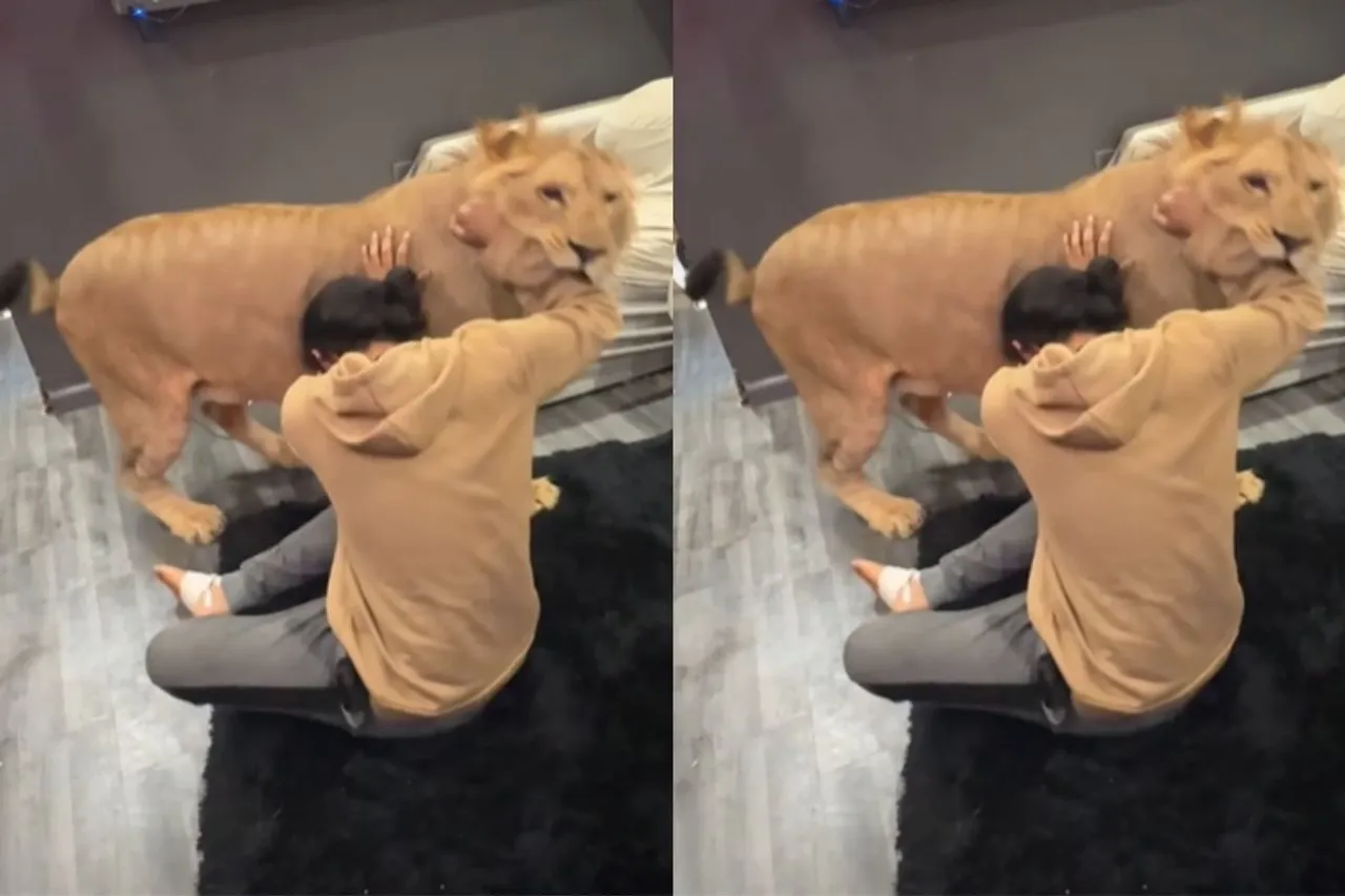 Animal Viral Video