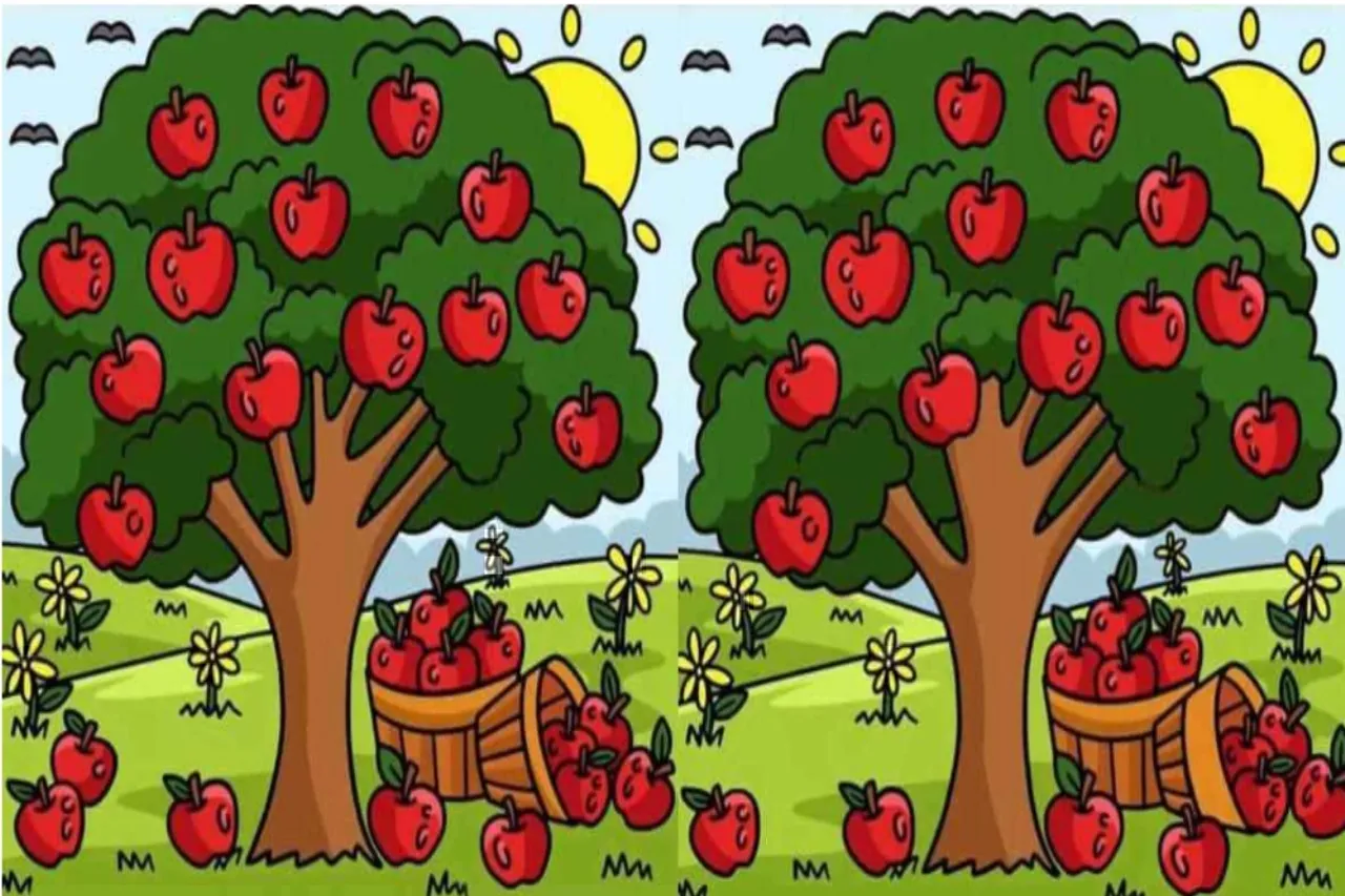 Optical Illusion