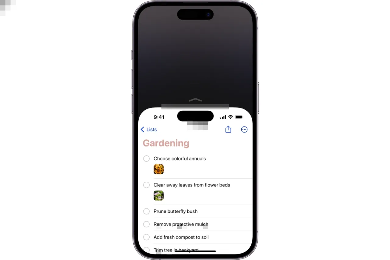 Top 4 iPhone Hacks