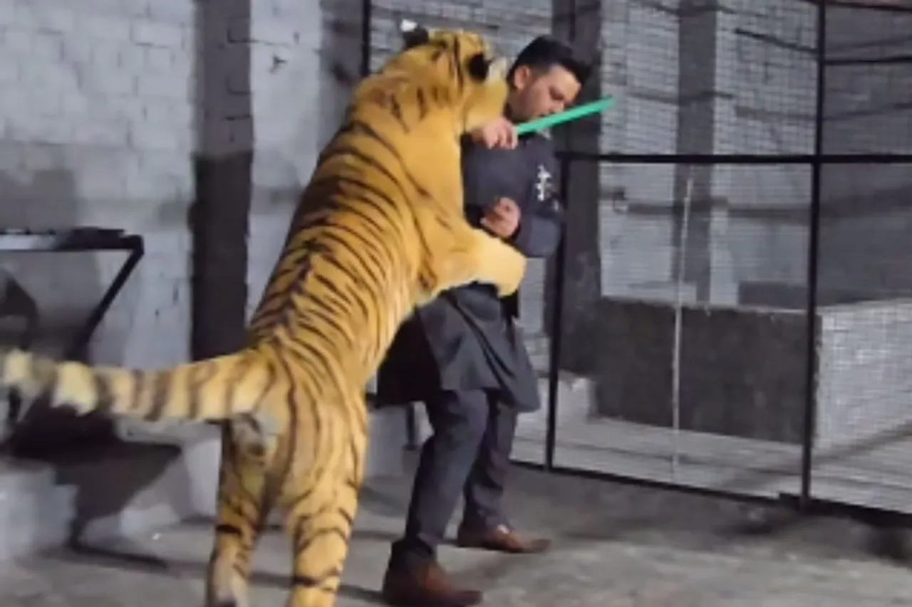 Animal Viral Video