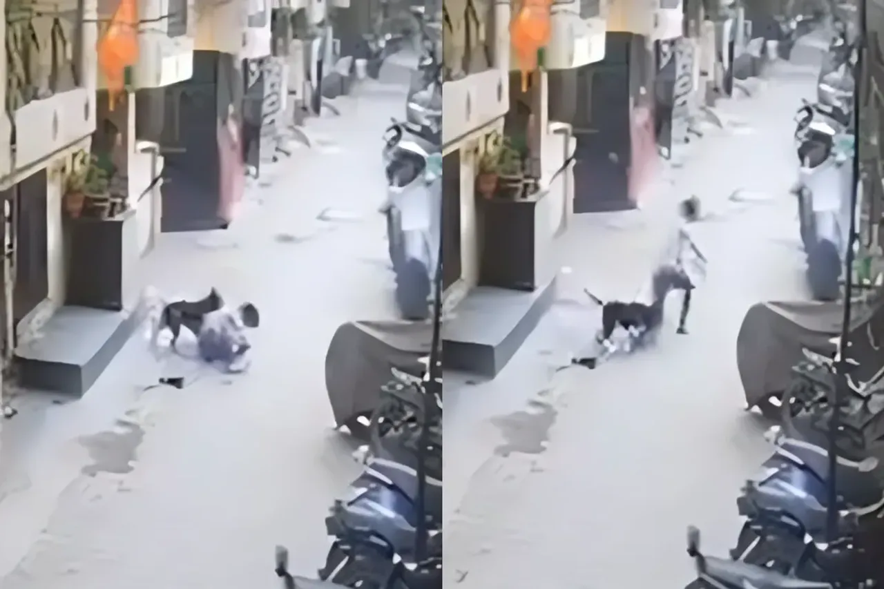 Viral Video
