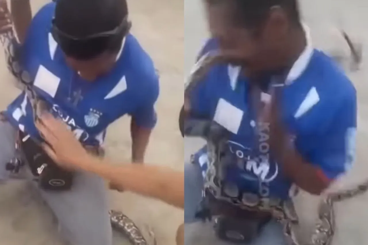 Animal Viral Video