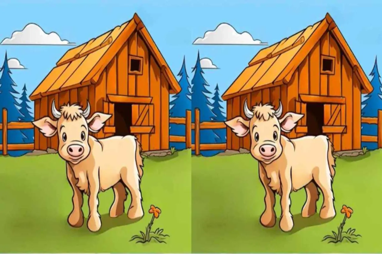 Optical Illusion