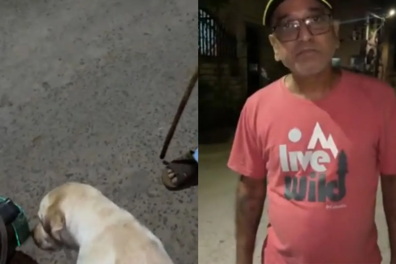 Viral Video