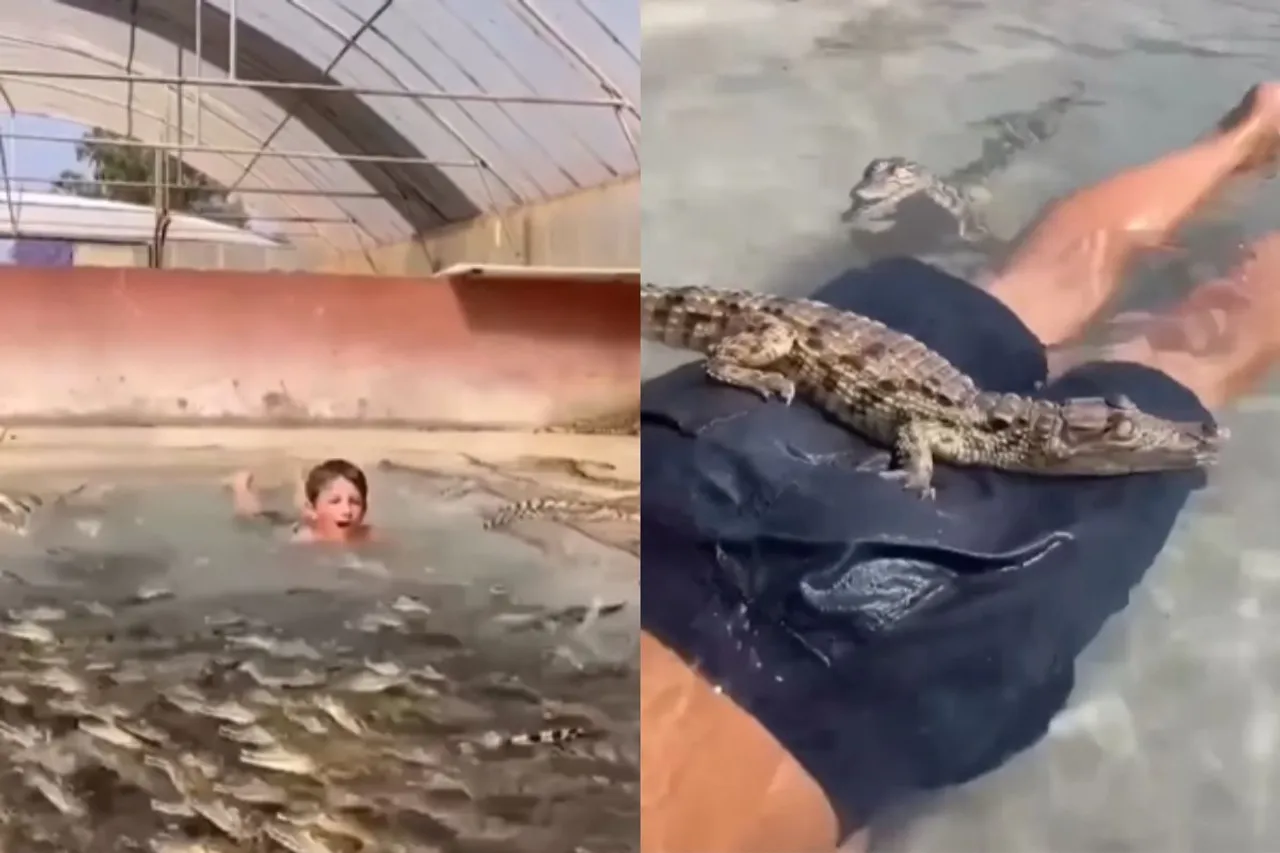 Viral Video