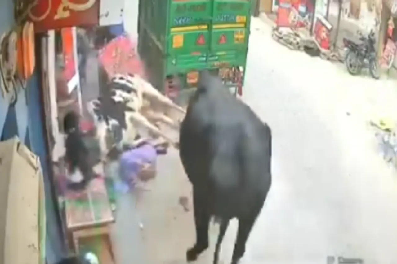 Viral Video