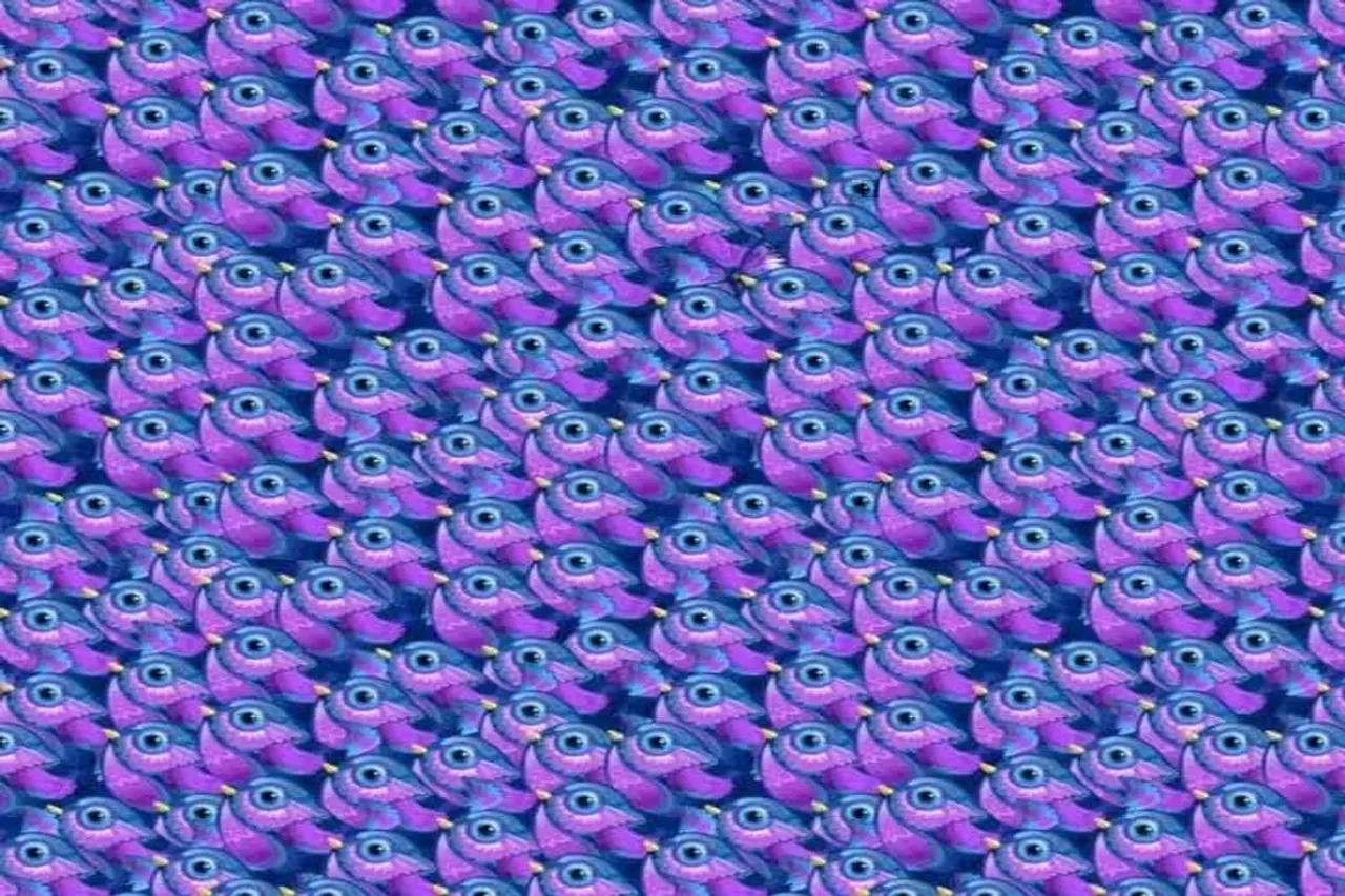 Optical Illusion
