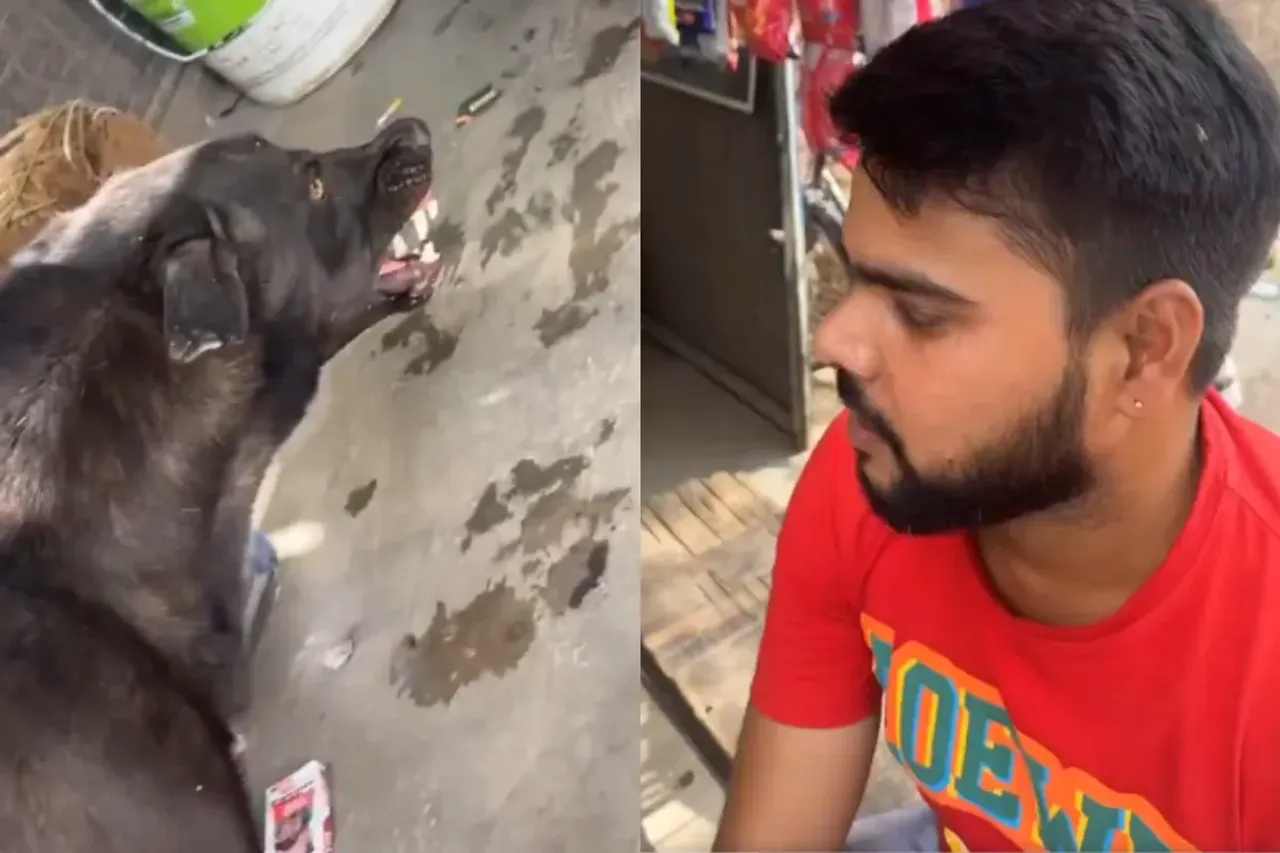 Viral Video