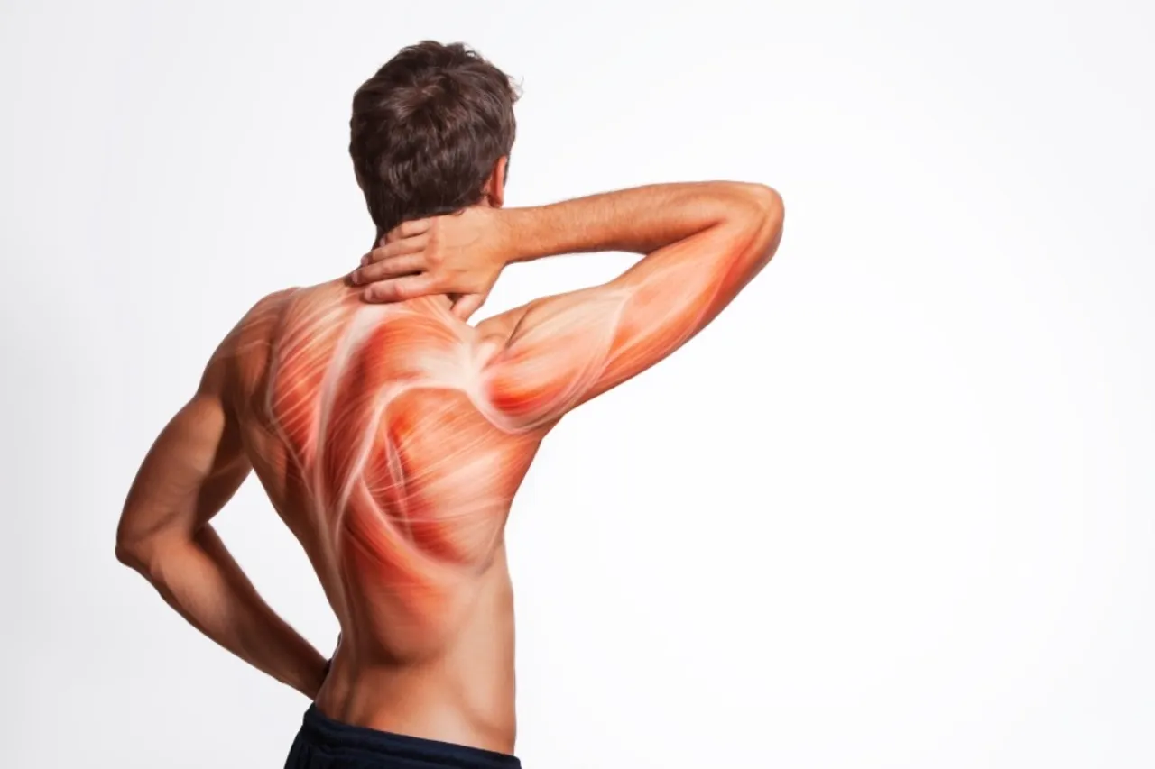 Body Signs