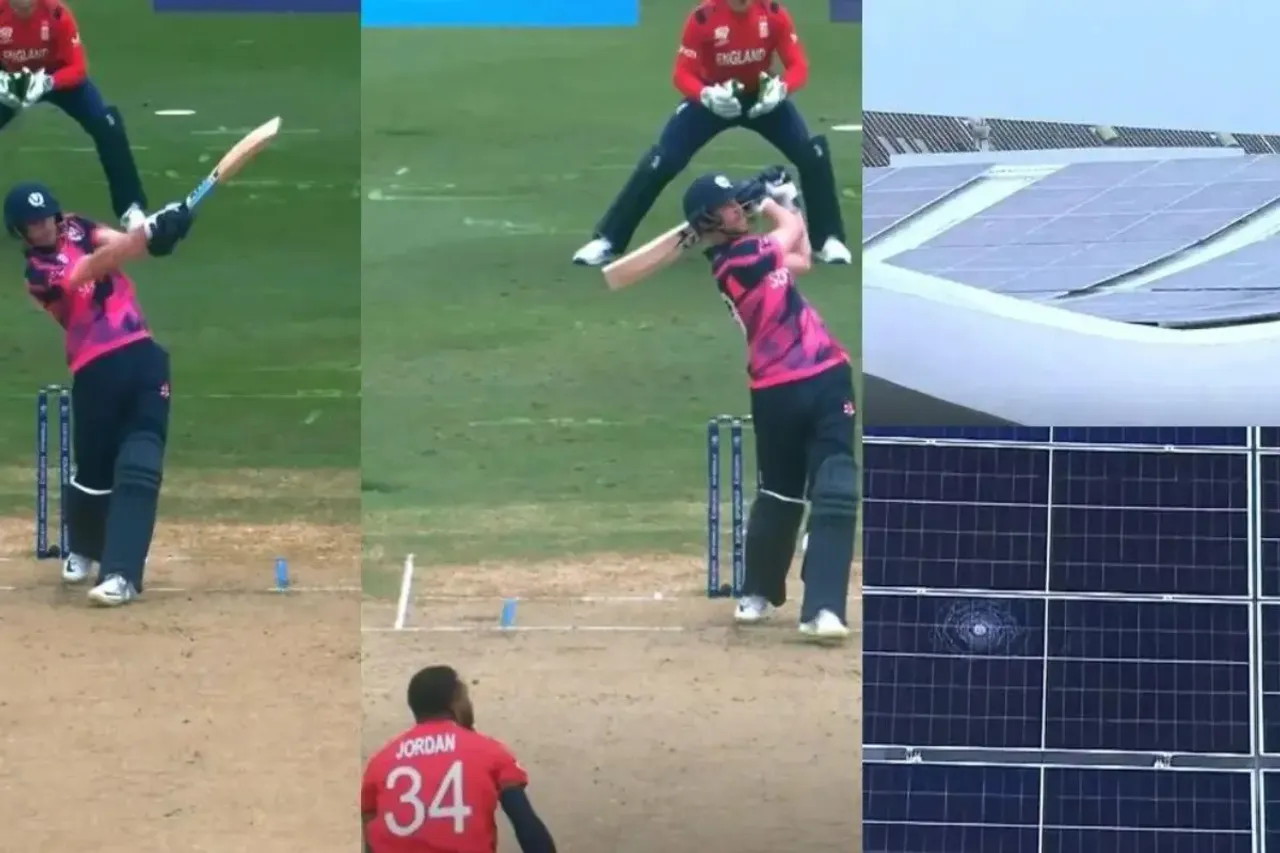 Cricket Viral Video
