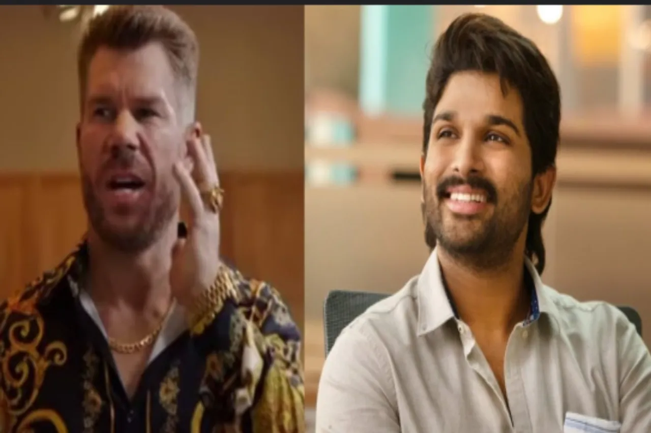 David Warner