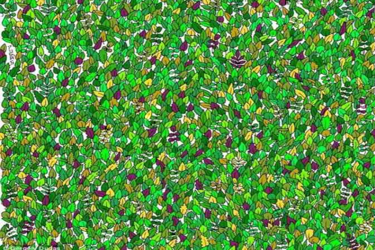 Optical Illusion