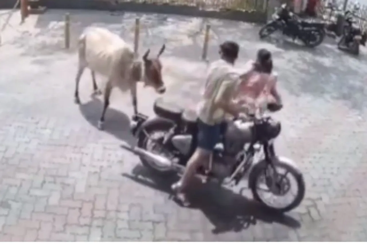 Viral Video
