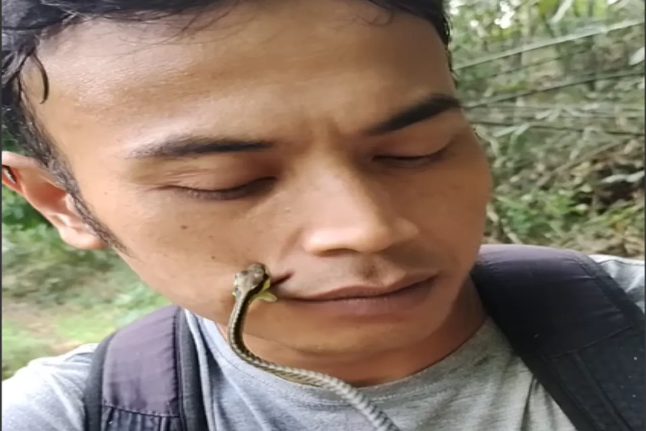 Viral Video