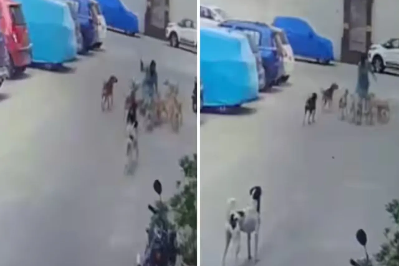 Viral Video