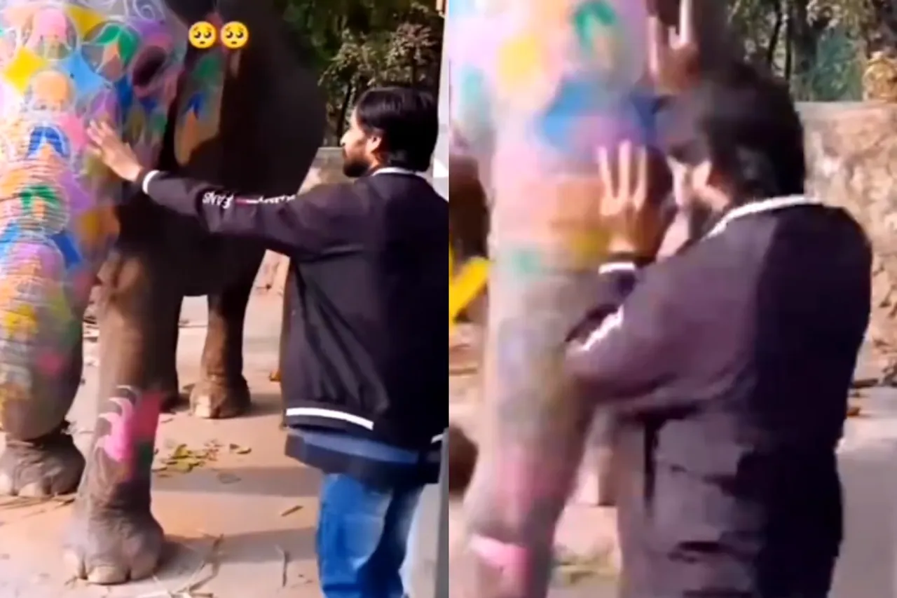 Viral Video
