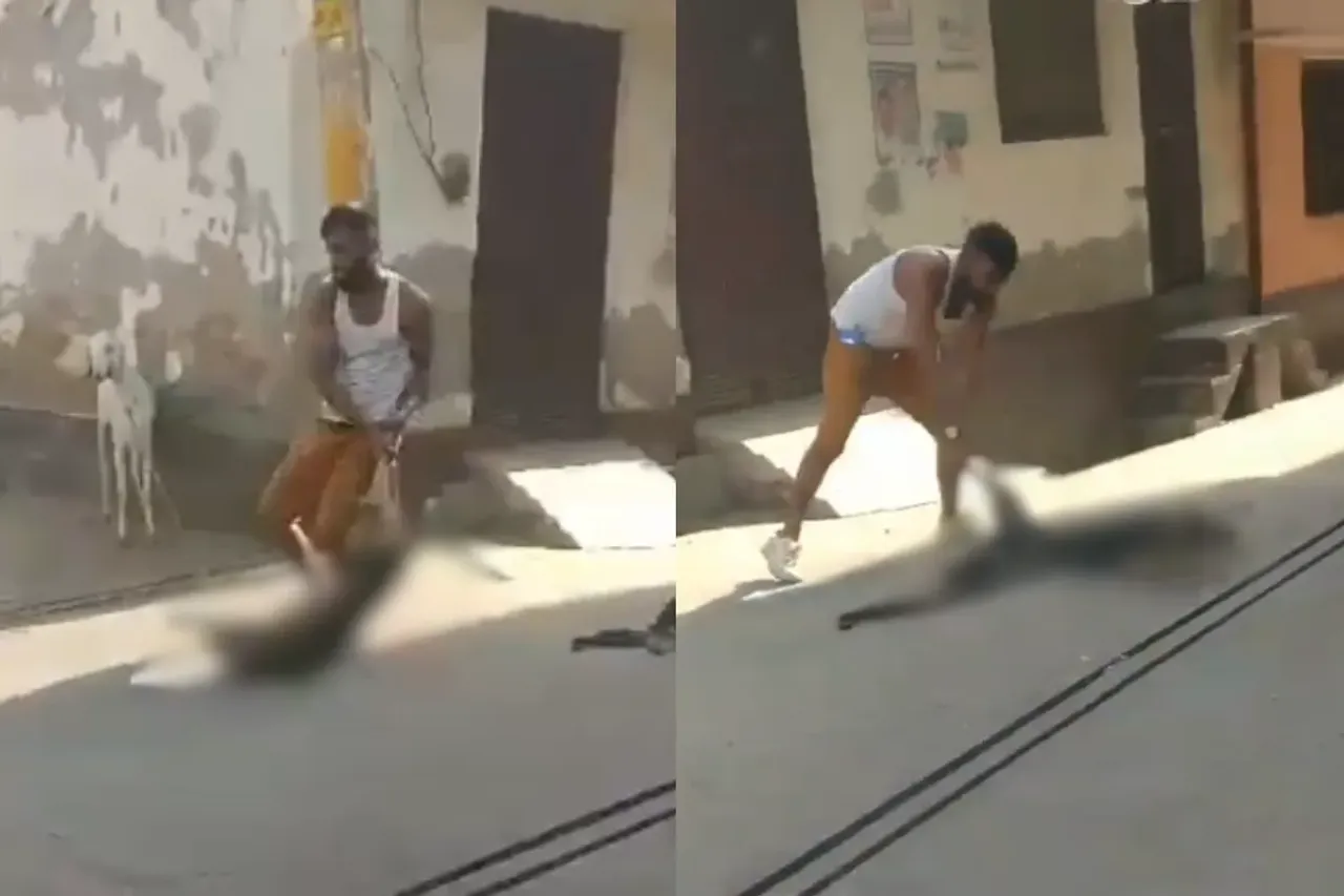 Viral Video