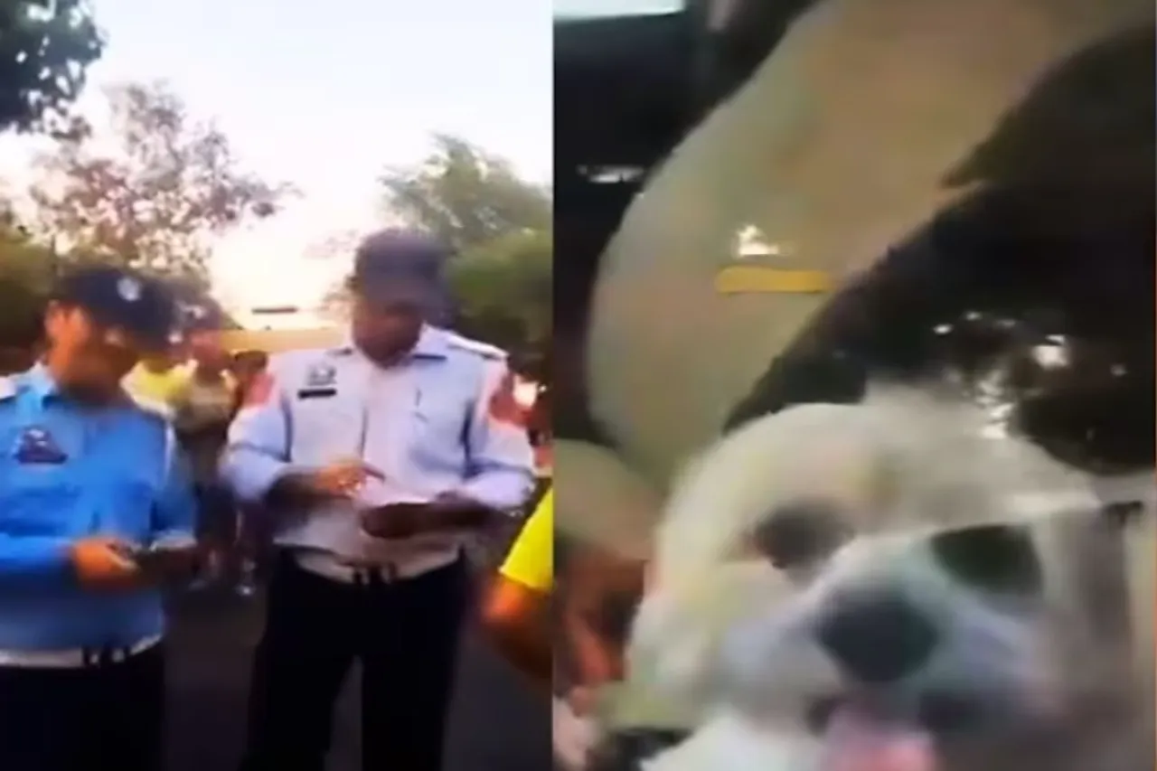 Viral Video