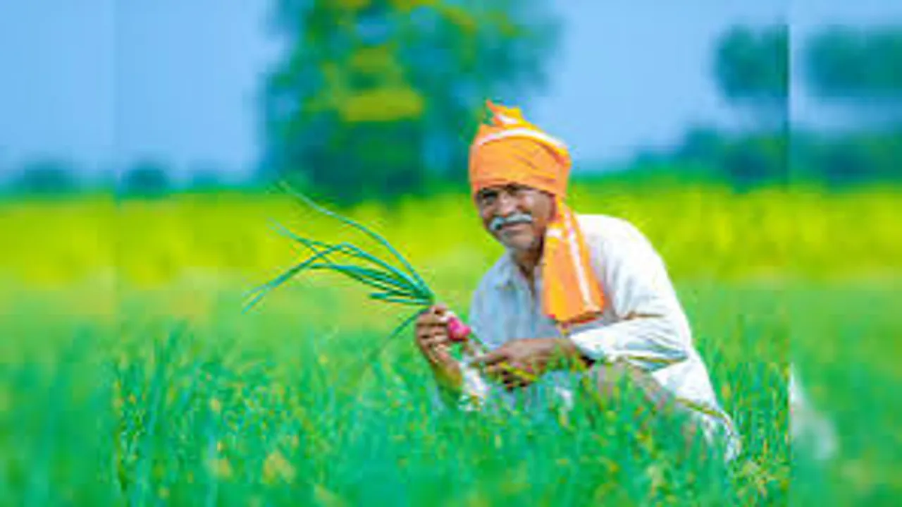Rajasthan News