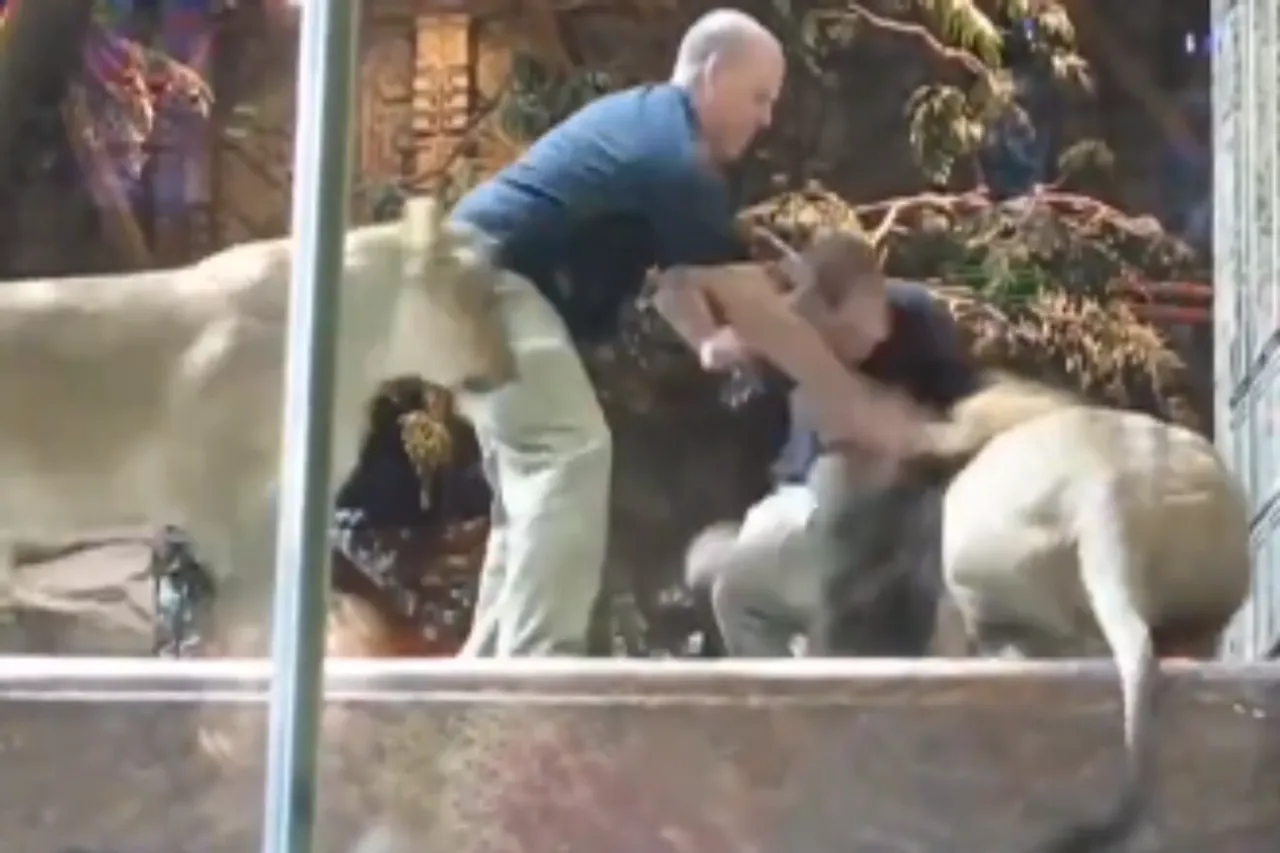 Animal Viral Video