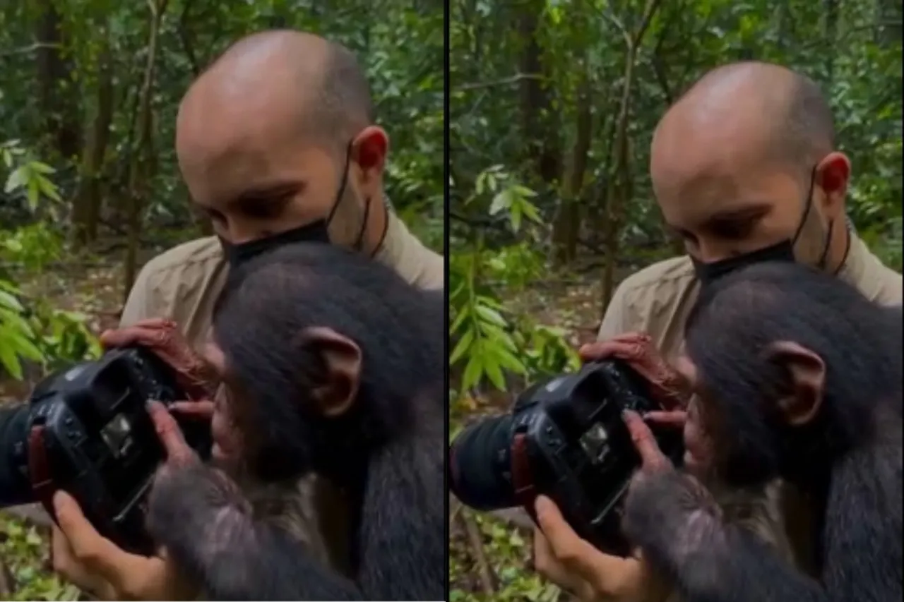 Animal Viral Video