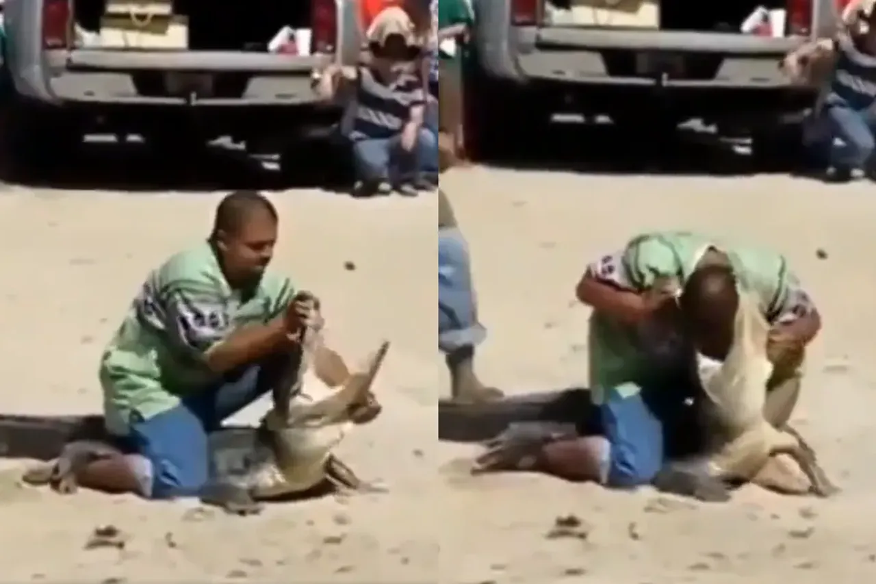 Animal Viral Video