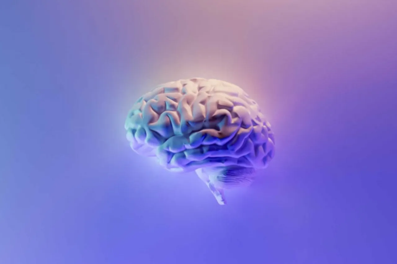 World Brain Day 2024