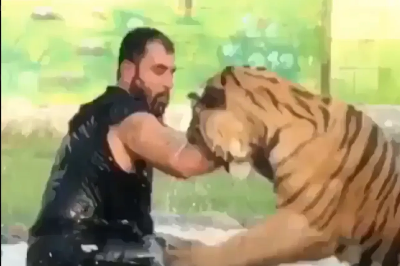 Animal Viral Video