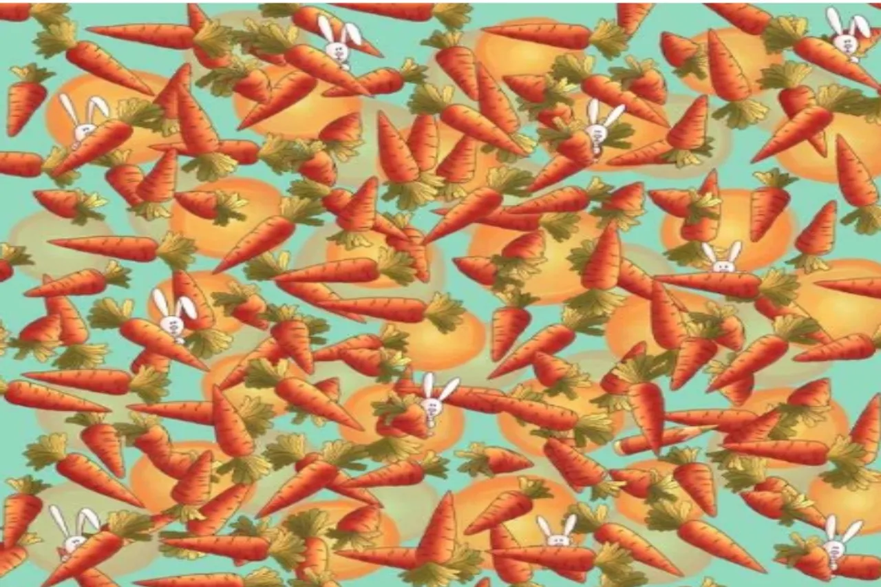 Optical Illusion