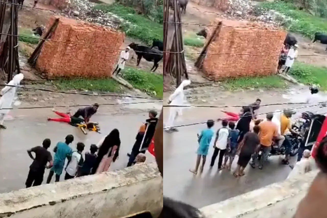 Viral Video
